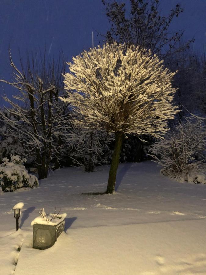Le Gîte bleu Willgottheim Extérieur photo