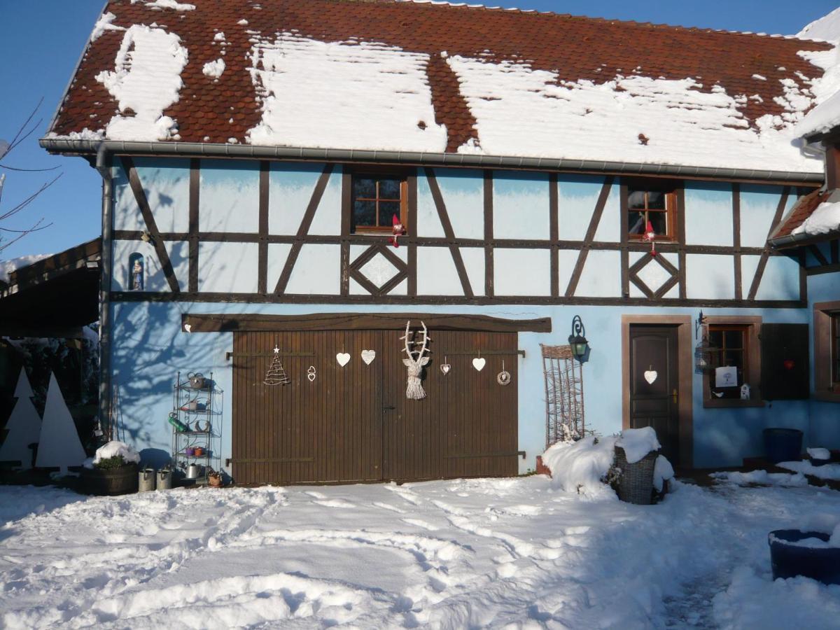 Le Gîte bleu Willgottheim Extérieur photo