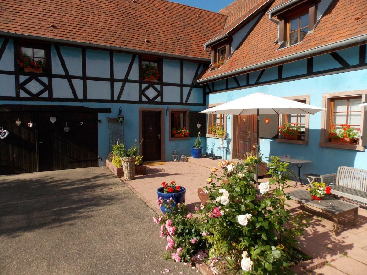 Le Gîte bleu Willgottheim Extérieur photo